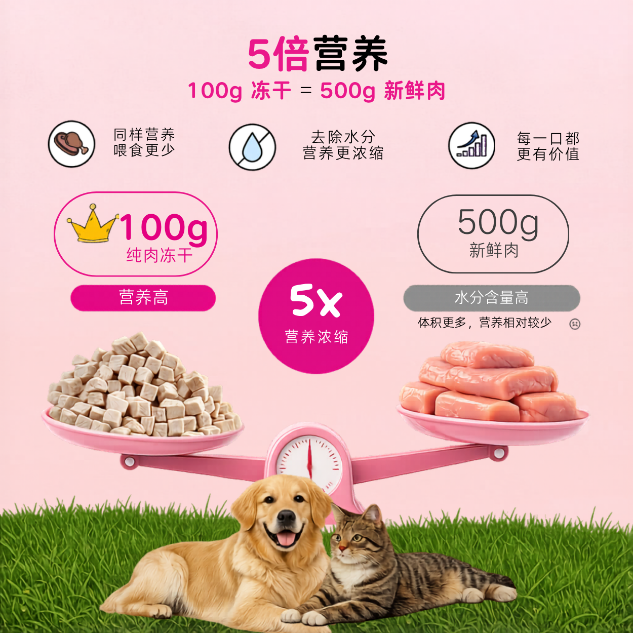 试吃组合｜bigfatpaw FurrBite 猫狗冻干鸡肉粒鸭肉粒｜2包100g鸡肉 + 1包100g鸭肉