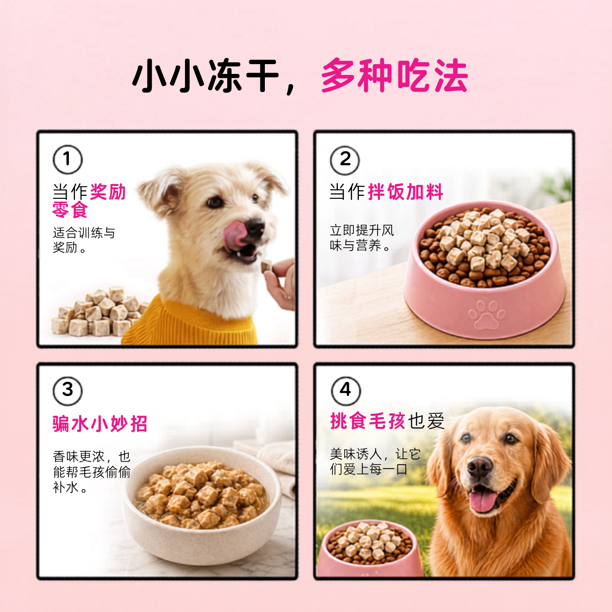 试吃组合｜bigfatpaw FurrBite 猫狗冻干鸡肉粒鸭肉粒｜2包100g鸡肉 + 1包100g鸭肉