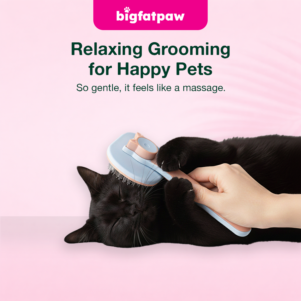 bigfatpaw Furrgear Pet Grooming Comb for Pets – Hair Removal & Deshedding Brush