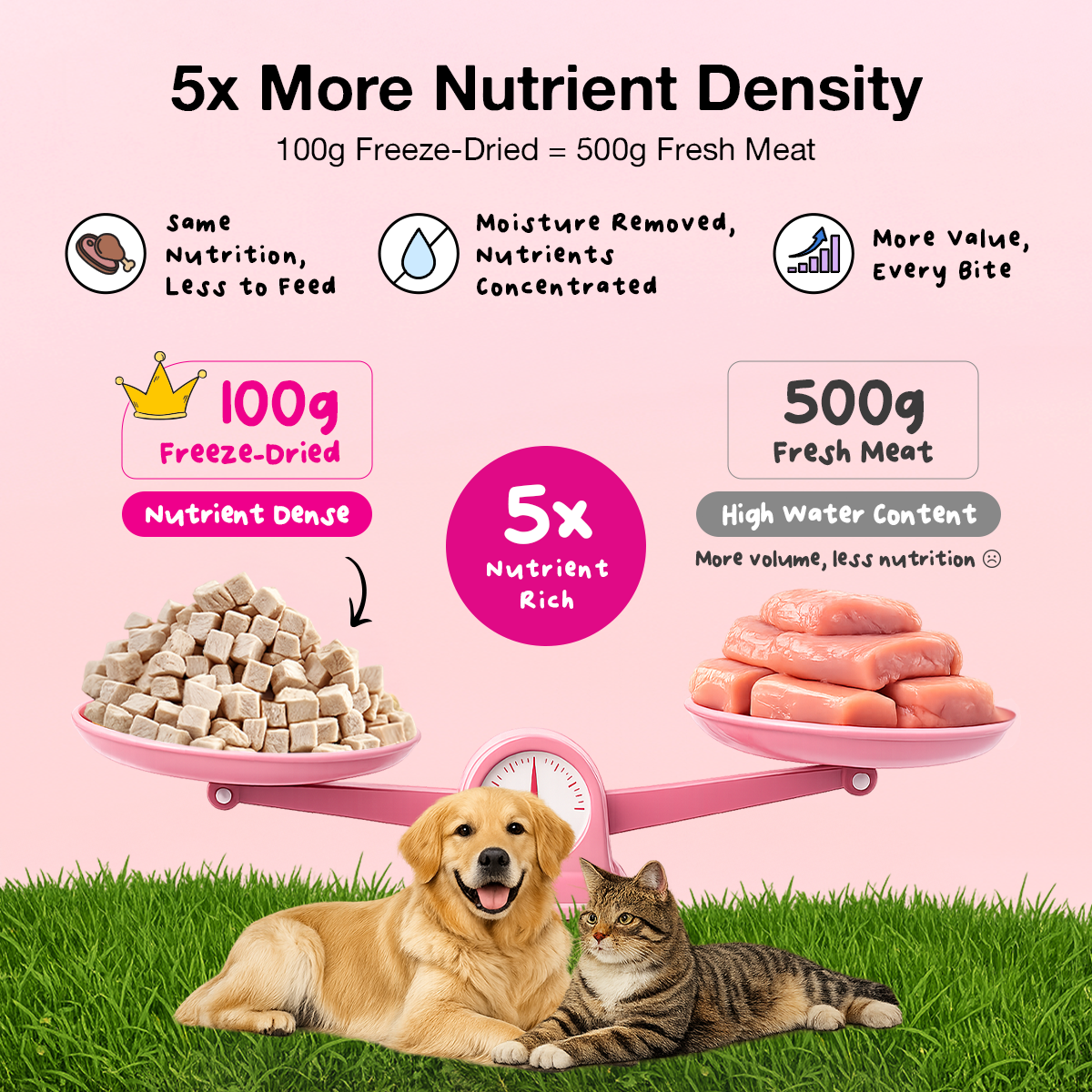 bigfatpaw Furrbite  Freeze Dried Chicken Cube & Duck Cube (100g)